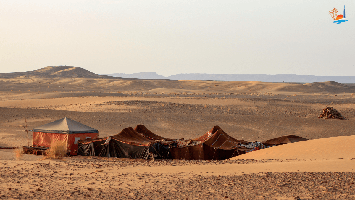 Overnight Desert Safari Dubai - Image 5