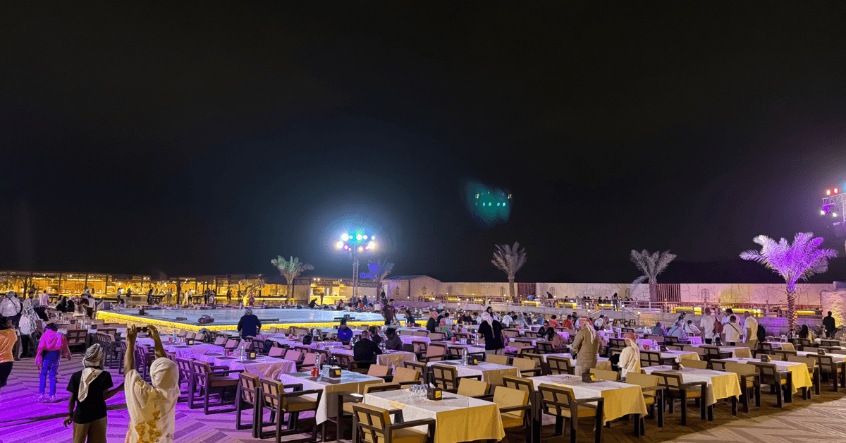 Desert Safari Evening Tour - Image 8